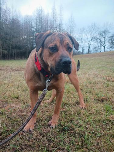 599082191_1355685222425791_1428687712715336872_n