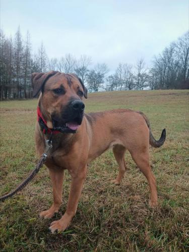 599960952_1174739828121651_7009022494974020253_n