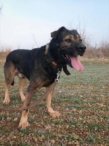 605808056_1576411450024262_3221193994755265849_n