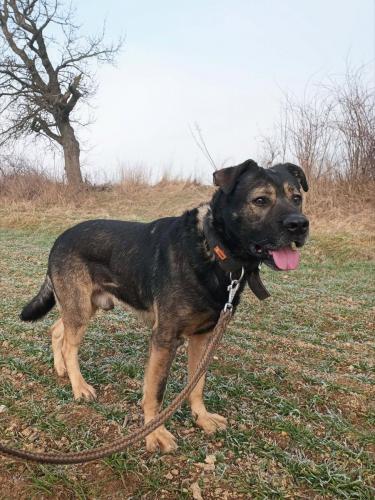 607106270_1463958119068231_3847682858663926779_n