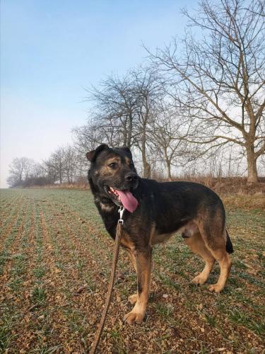 608192878_1646194410092532_1320543715183041530_n