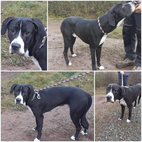 262812020_4858074244253050_2011896717657979974_n