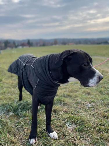 263488224_4858074054253069_311862555729403199_n