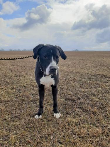 274885703_5173628809364257_2488494152023261337_n