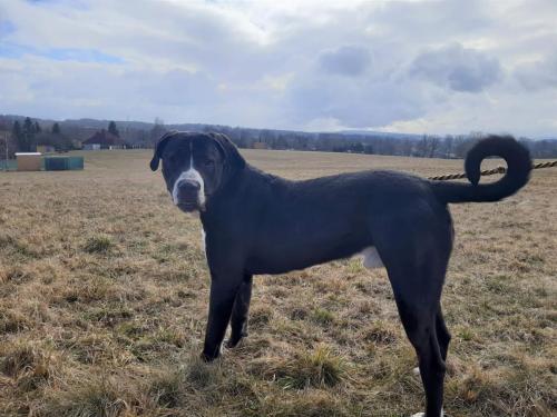 274896269_5173628629364275_5509990486936323044_n