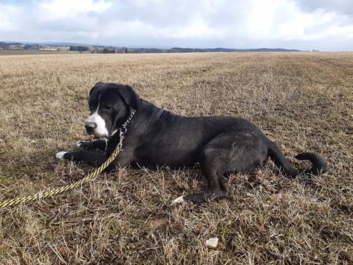 274896761_5173629002697571_8725764334774068419_n