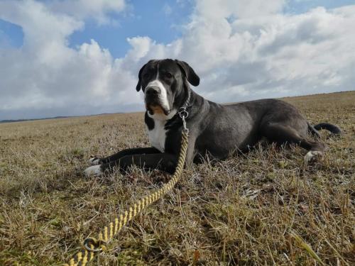 275115392_5173629199364218_3747778372850987292_n