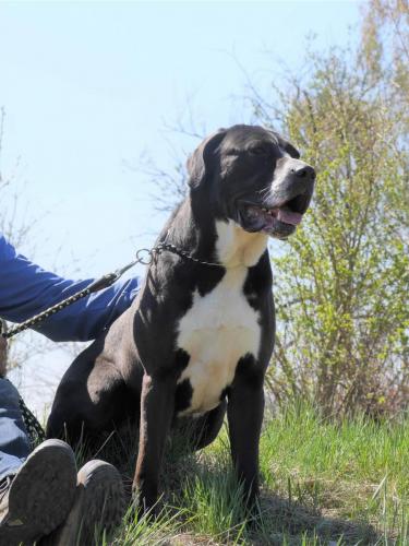 279132683_5312537902140013_2204281060616809267_n