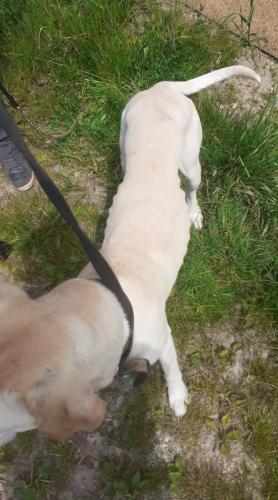 po příjezdu k nám...