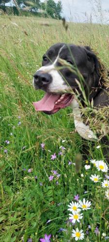 353107546_3625930004345608_47286949236805136_n