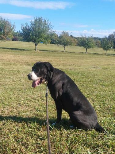 367276775_1033381691030634_5624990847418091993_n