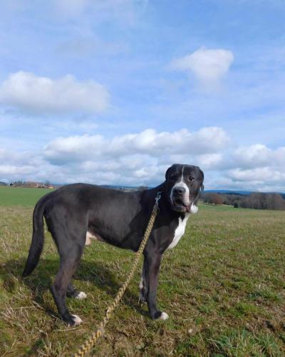 426057894_277667088545465_8984866589280169645_n