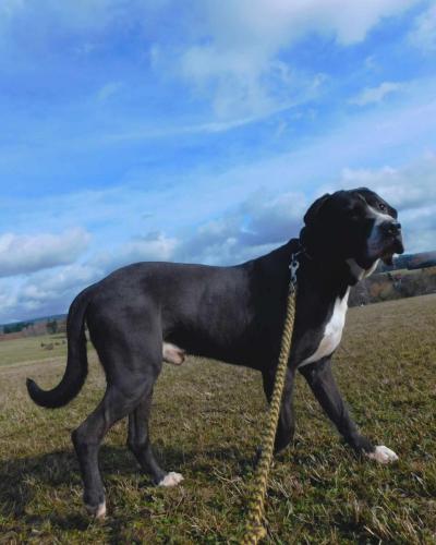 426215955_919258099576788_2848020259969722992_n