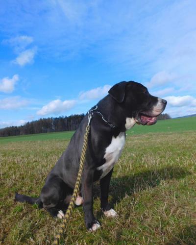 426563788_391042333620356_2202608668224621266_n