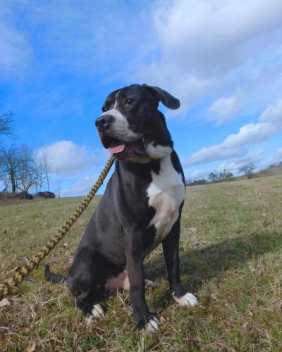 426748704_684708340526755_5883986992610423837_n