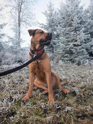 462568697_2214750398970088_3820587430283139183_n