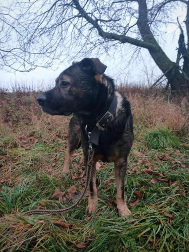 465779525_612404694785686_4980557509182746994_n