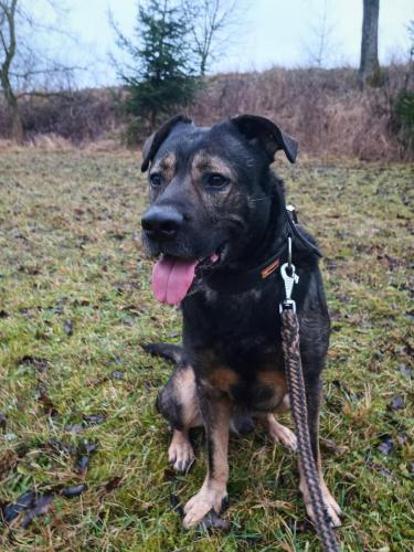 465817443_1171034164449579_6812133606198754214_n