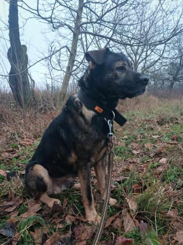 466463485_1580572816158687_8601719682972494232_n