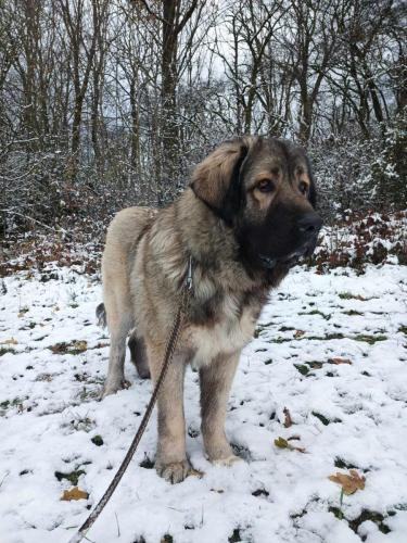 466709641_1281956239487948_3583725002590019475_n