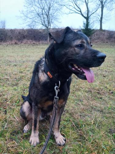 466718734_982501737087941_8126312605792885763_n