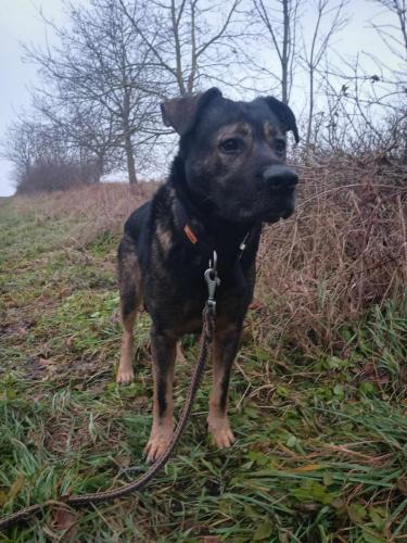 467390254_539059755788349_5140530878533762963_n