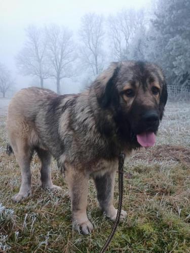 467661093_1119507783216496_3828640168226876475_n