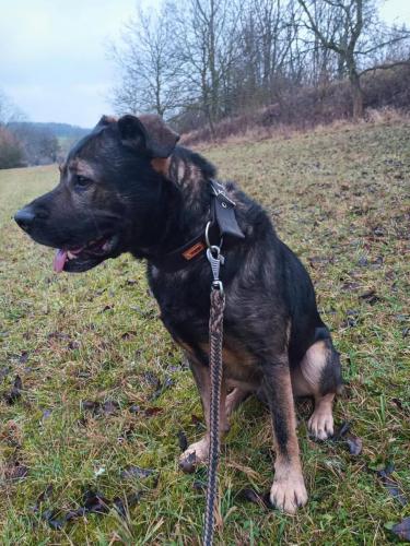 467714694_1108797880701674_5502941177510594115_n