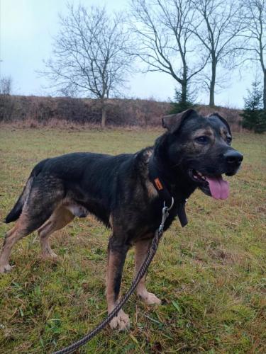 467714694_871380841737167_7442701083879780355_n