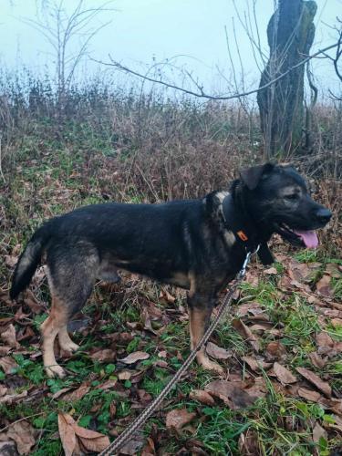 467881260_1248888999721067_6619940110181751608_n