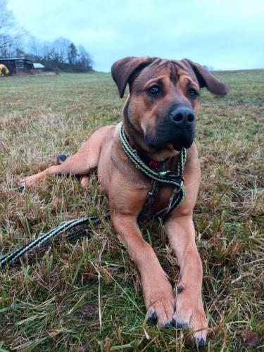 470232242_9161372980589800_2506484534194766461_n