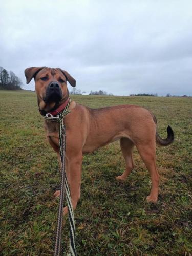 470235827_9161371813923250_8246167620191114496_n