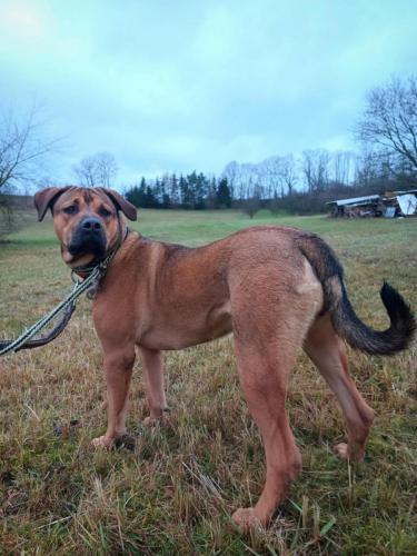 470237282_9161372373923194_5235167479163892756_n