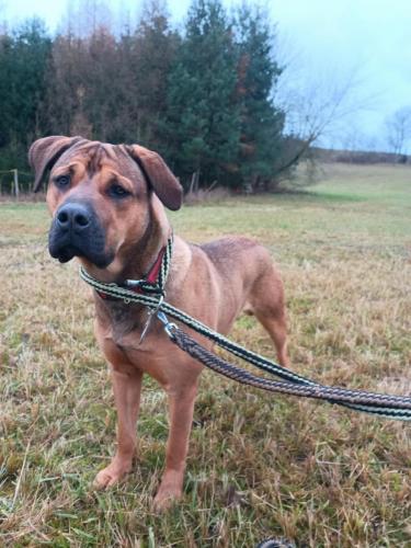 470240677_9161372690589829_3871280793897773793_n