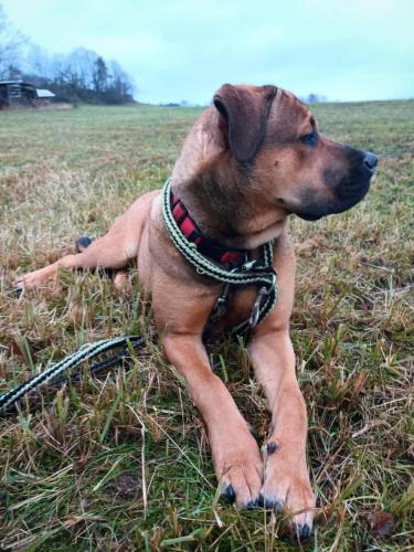 470562495_9161373513923080_20665036309362087_n