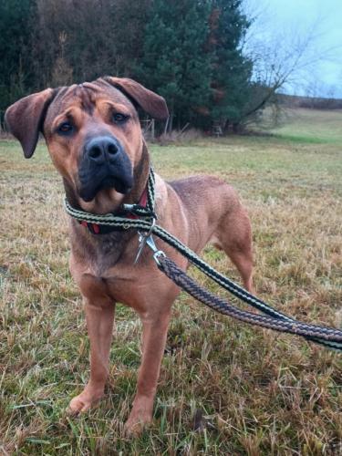 470570228_9161372113923220_5297344026865856339_n