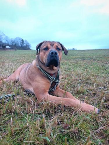 470575469_9161373220589776_6726085488661103401_n