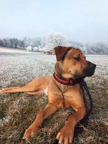 471190658_1682920365991431_6471624041732876503_n