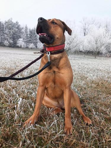 471203215_578637684924023_4552855597013523909_n