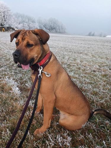 471421754_491625470132505_1853393180659912_n