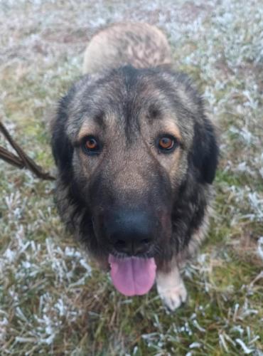 471424454_612779207990381_8250849977292845070_n