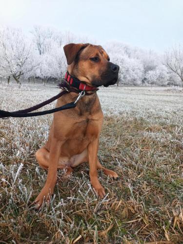 471470132_1162973212009680_3220434907133793459_n