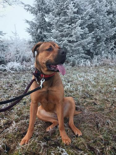 471525682_1134355258408771_112062297188415496_n