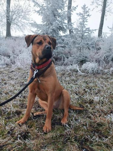 471543803_613639191067114_7609791211274433167_n