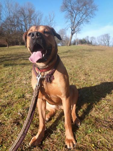 472788564_590541467130070_2468548266054865479_n