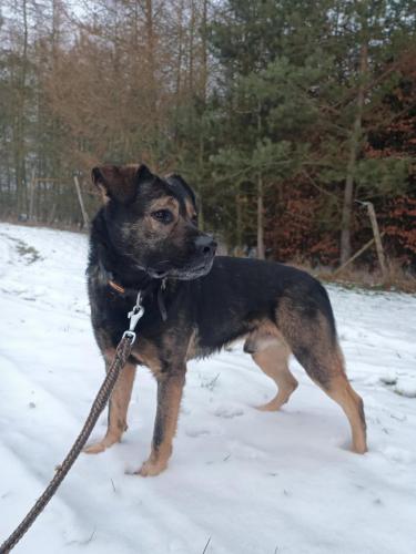 473272707_957389825899779_8424576262987128227_n