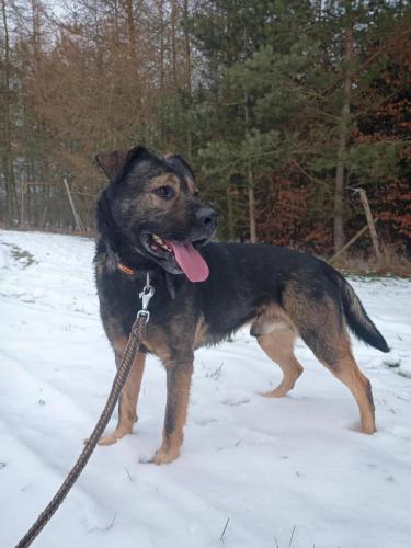 473285050_1256743392071598_4734891675434938693_n