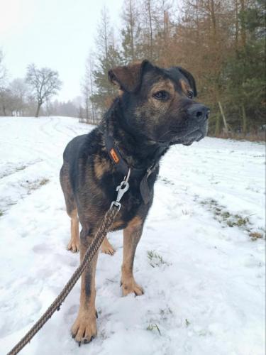 473344433_4112741512294611_188116410615554543_n