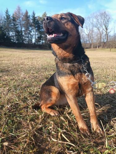 473382334_996385519013409_2493794654325914832_n