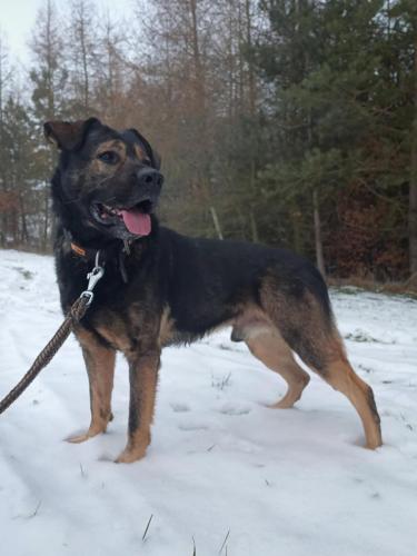 473440468_548216215039606_6191043609765423564_n